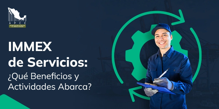 Te contamos en qué consiste el IMMEX de servicios