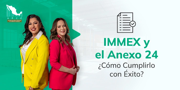 Te explicamos la relación entre el IMMEX y el Anexo 24