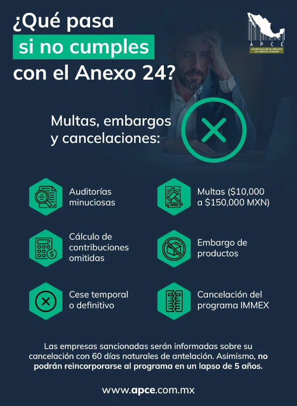Consecuecias de no cumplir con el Anexo 24