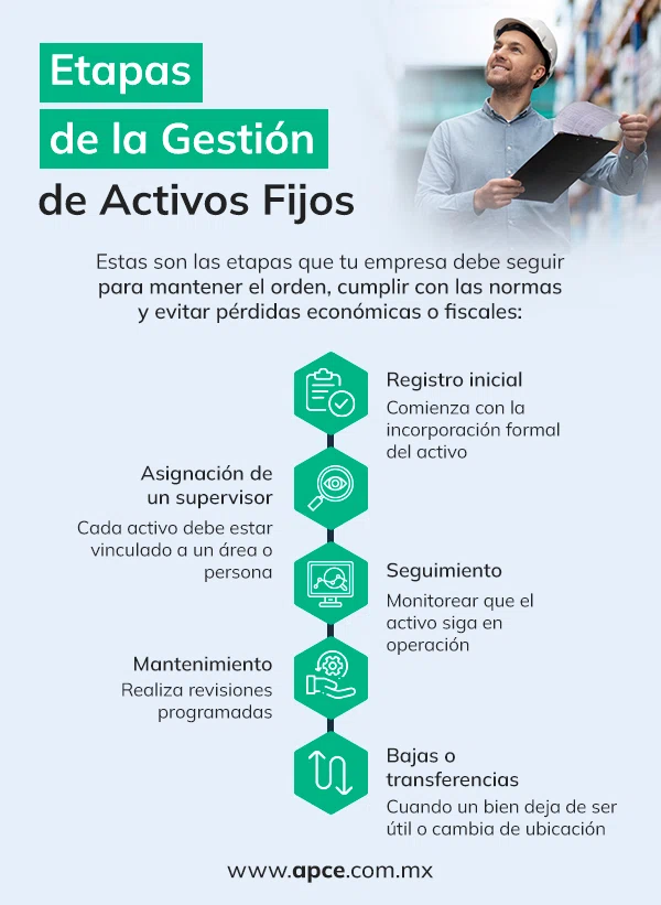 Infografía que menciona cuáles son las etapas de la administración de los activos fijos de una empresa