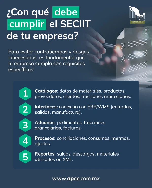 Infografía que mencionan los requisitos que debe cumplir el SECIIT de una empresa