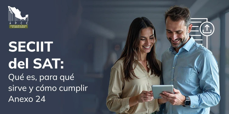 Imagen destacada del artículo SECIIT del SAT: Qué es, para qué sirve y cómo cumplir Anexo 24