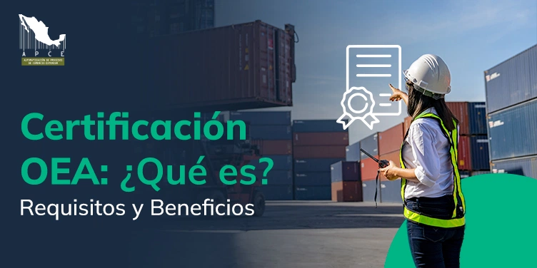 Imagen destacada del artículo Certificación OEA: ¿Qué es? Requisitos y Beneficios