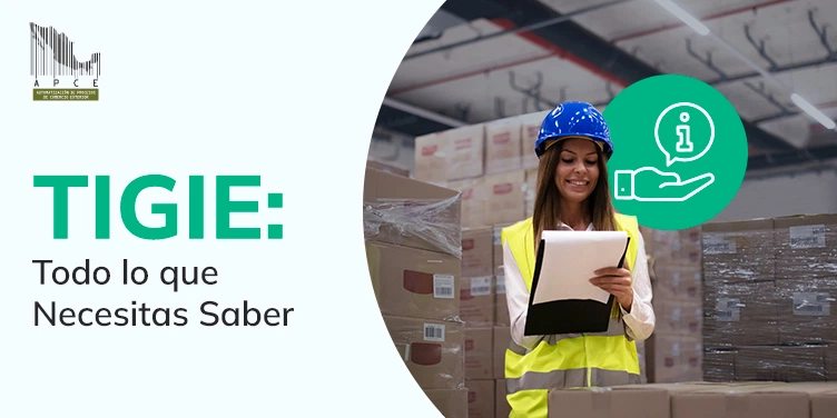 Imagen destacada del artículo TIGIE: Todo lo que Necesitas Saber
