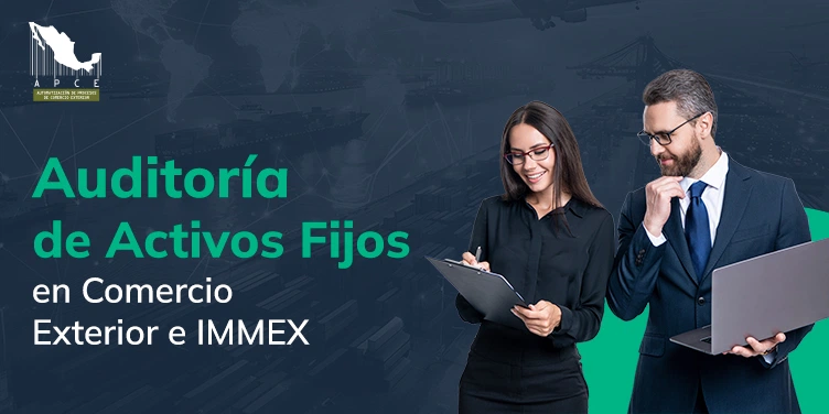 Especialistas en auditorías de activos fijos