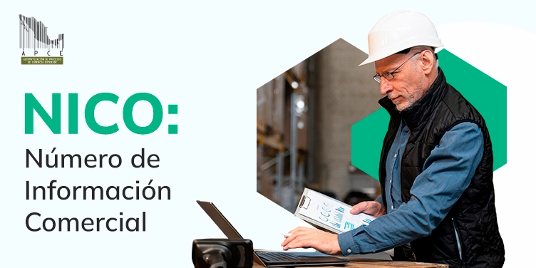 Portada del blog para el artículo de NICO