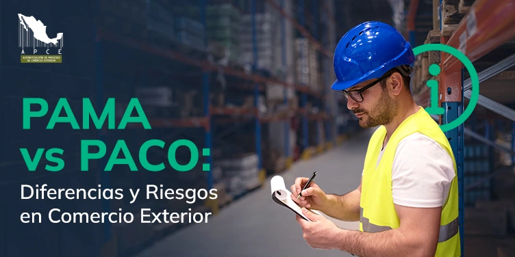 Portada del artículo: PAMA vs PACO: Diferencias y Riesgos en Comercio Exterior